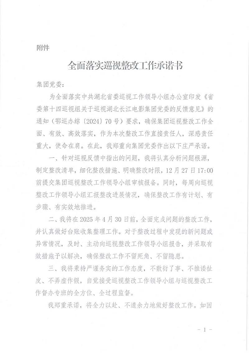 巡视整改承诺书（所有）_00.png