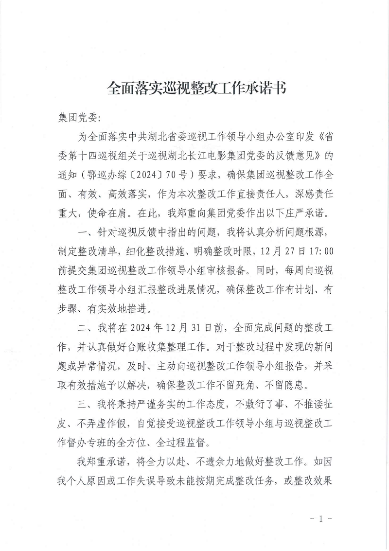 巡视整改承诺书（所有）_16.png