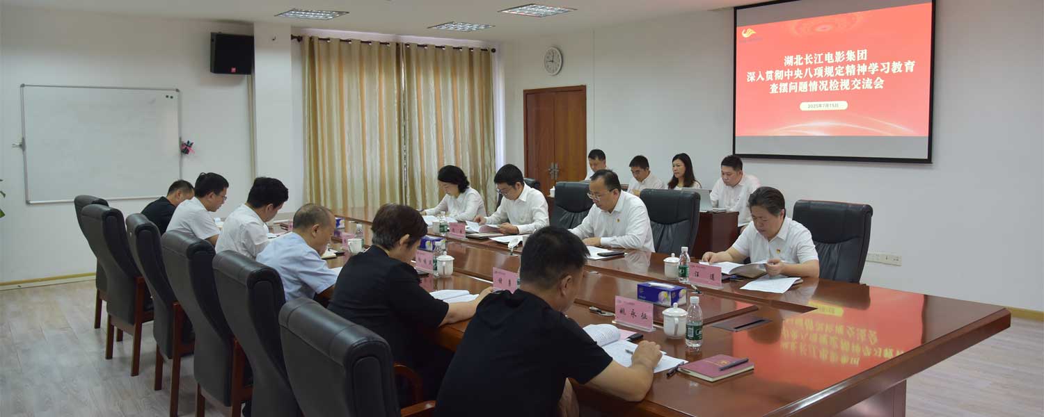 湖北长江电影集团党委召开深入贯彻中央八项规定精神学习教育查摆问题情况检视交流会